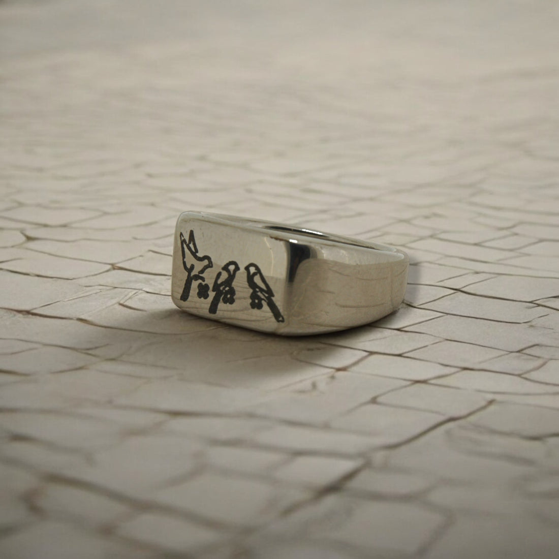 RING AMSTERDAM THE 3 LITTLE BIRDS