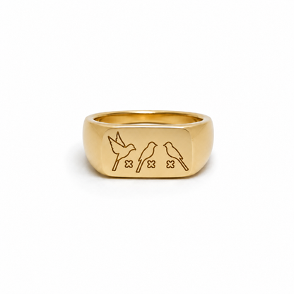 RING AMSTERDAM THE 3 LITTLE BIRDS